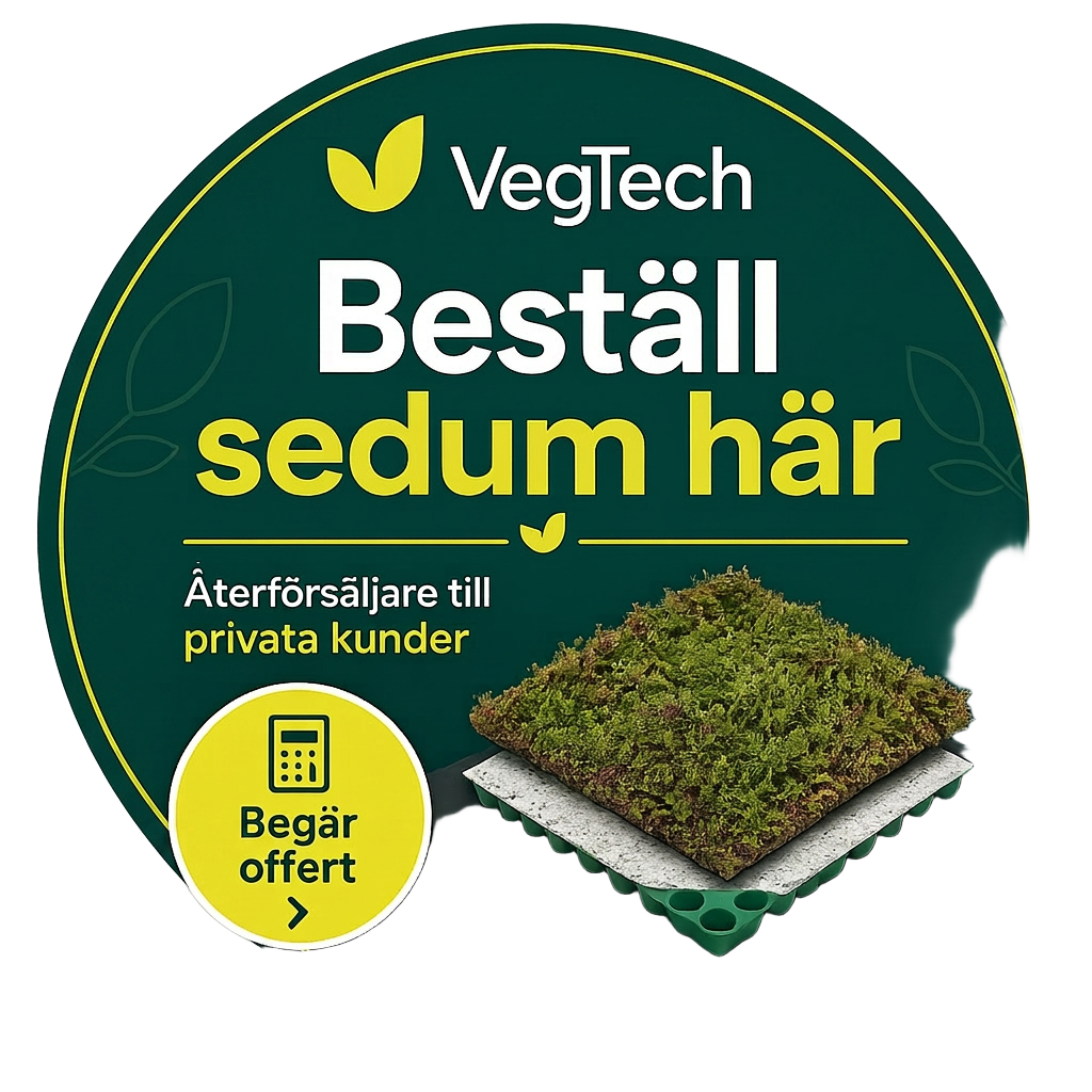 Beställ sedum här