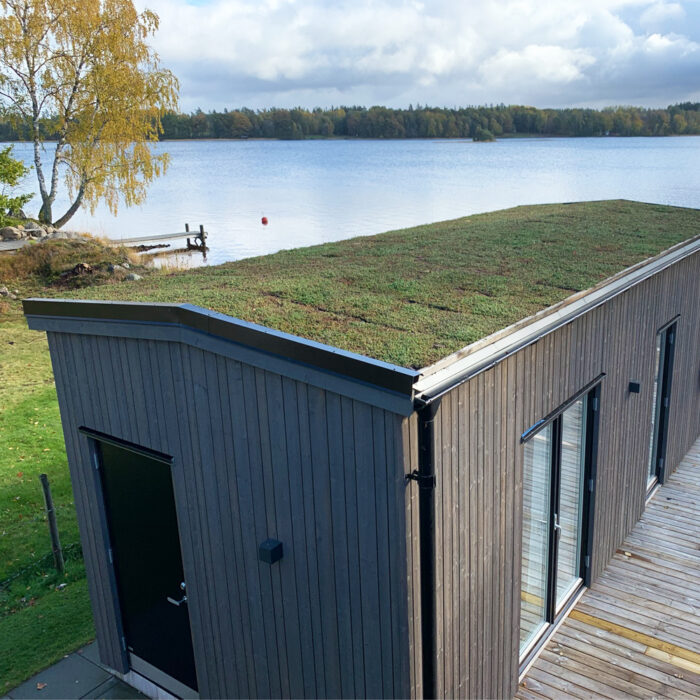 Sedumtak vid sjö