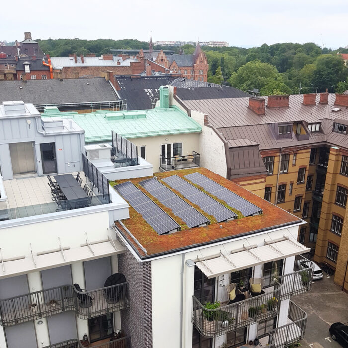 Sedumtak med solceller